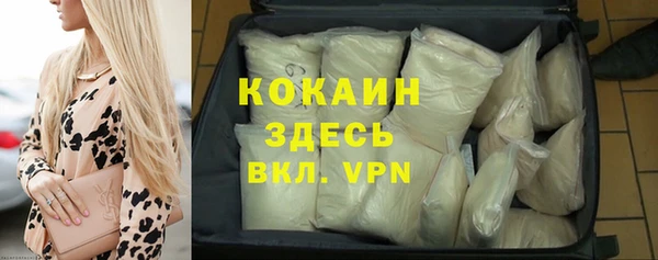 apvp Алексин