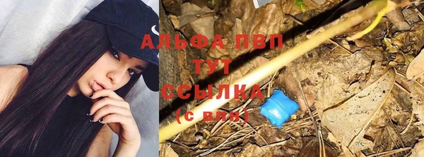 стаф Абдулино