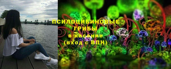 дурь Магас