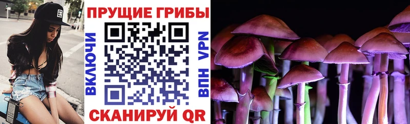 Галлюциногенные грибы MAGIC MUSHROOMS Старая Русса